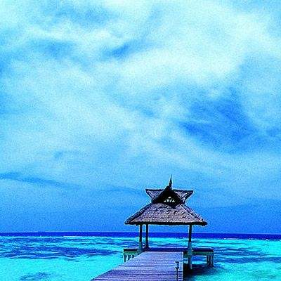 极速赛车社区合作平台