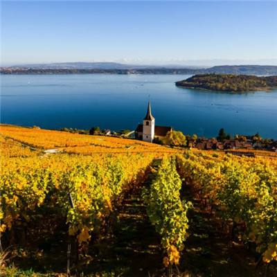 开云·体育(kaiyun)手机app下载截图