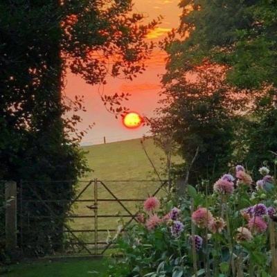 米乐网手机app下载截图