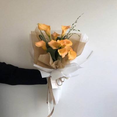 大发黄金版app下载app下载