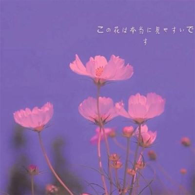 安博体育的最新版本app下载