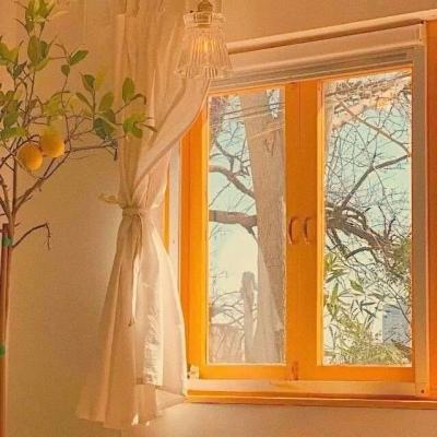 大发彩票手机app下载