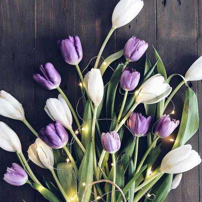 皇冠足彩官网下载最新版