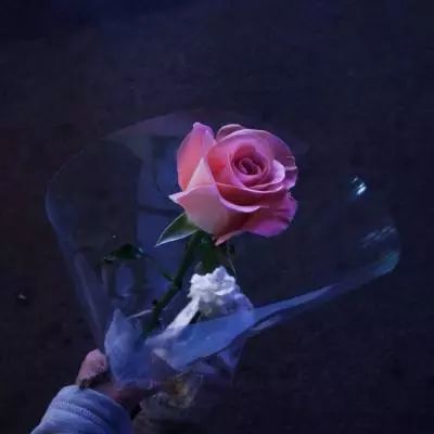 麻将胡了app手机app下截图